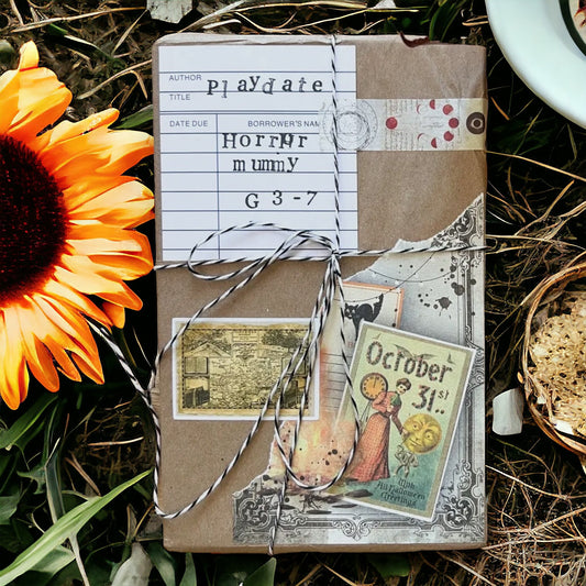 Blind Date With a Book-Children’s Playdate Collection